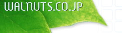 WALNUTS.CO.JP