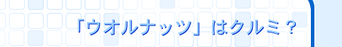 uEHibcv̓N~H